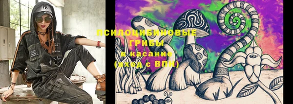 ECSTASY Гусиноозёрск