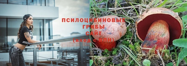 ECSTASY Гусиноозёрск