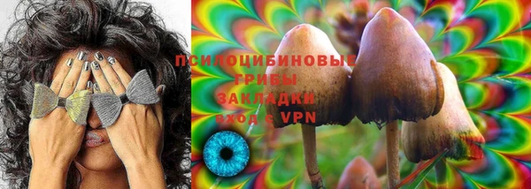 метадон Гусь-Хрустальный